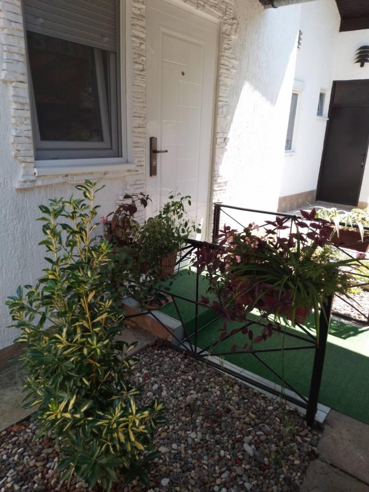 Apartman Palic Libero Exterior photo